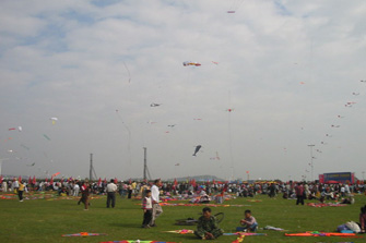 Beijing International Kite festival Beijing - 2