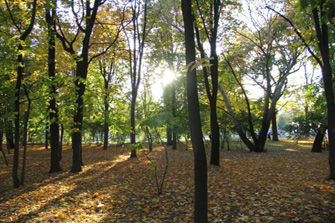 Sokolniki Park Moskou - 2