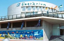L Aquarium Barcelona