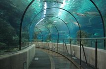 L Aquarium Barcelona - 2