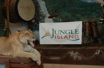 Jungle Island Miami - 2