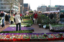 Bloemenjaarmarkt Groningen - 2