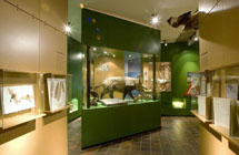 Natuurhistorisch Museum Maastricht - 2