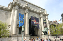 American Museum of Natural History New York