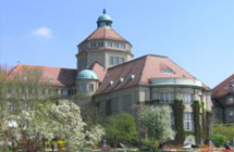 Botanischer Garten Nymphenburg Munchen