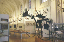 Deutsches Jagd und Fischereimuseum Munchen - 2